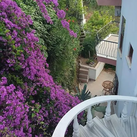 Villa On The Historic Castle Hill